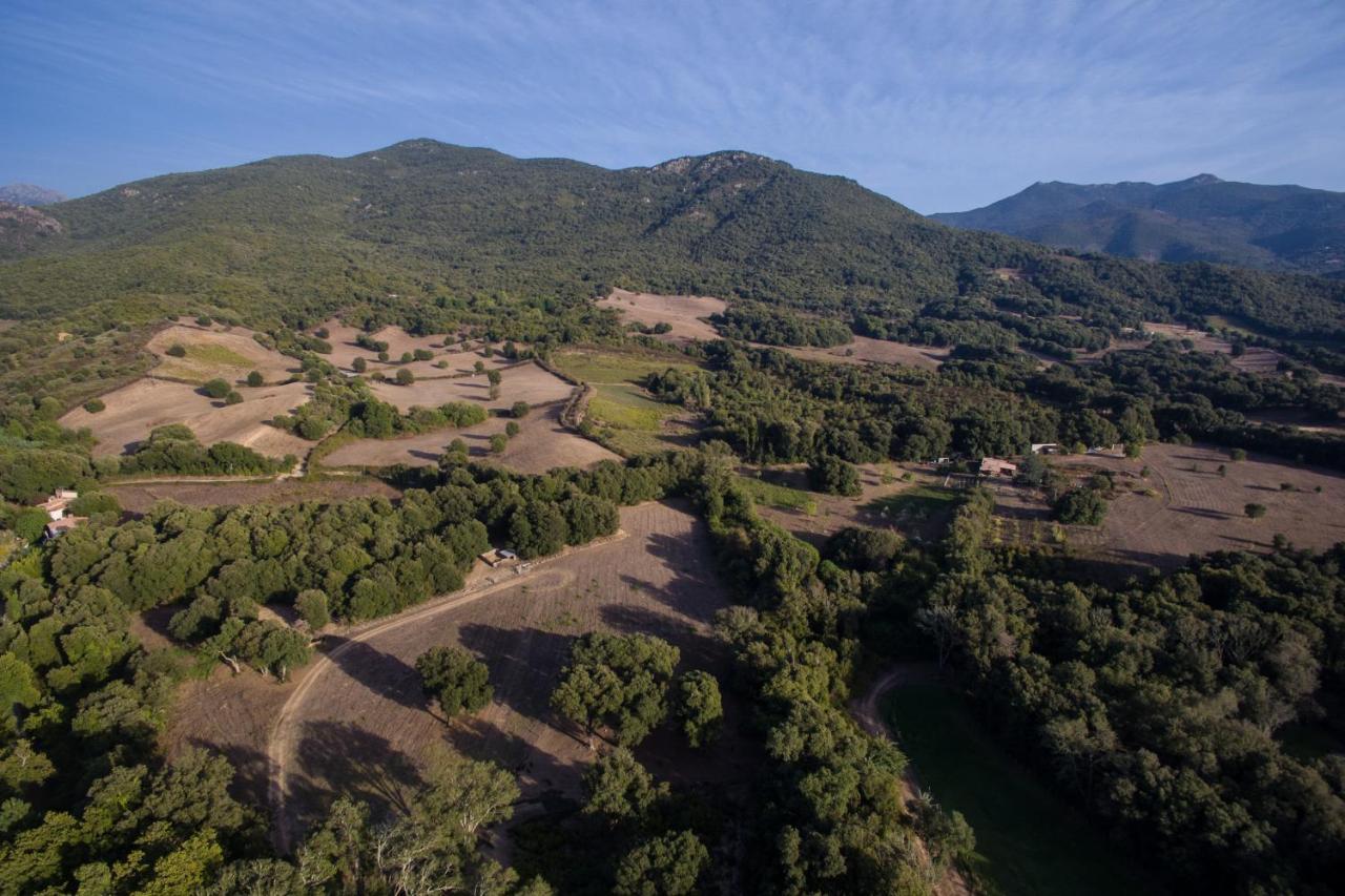 Domaine Finili Villa Cauro Exterior foto